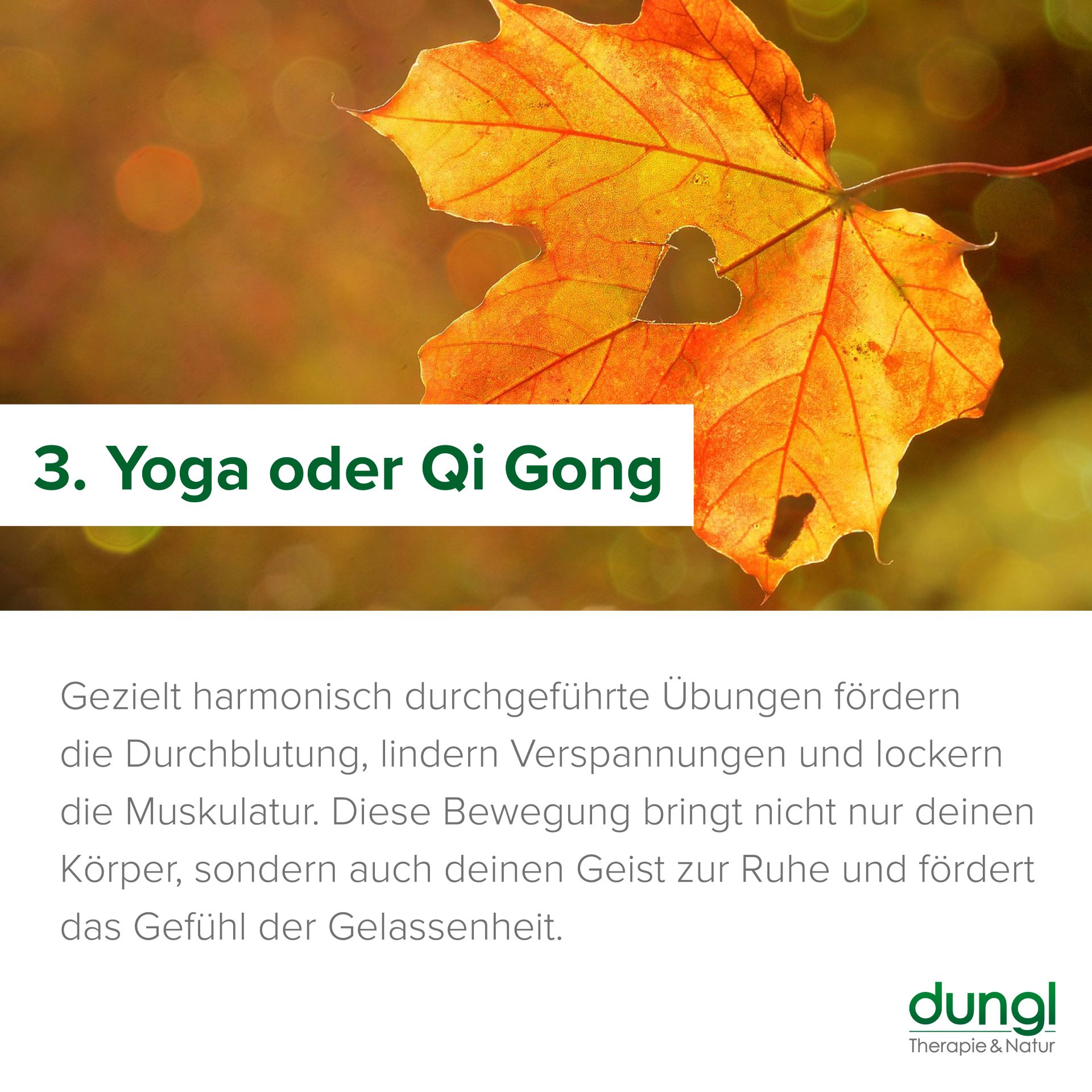 Yoga oder Qi Gong